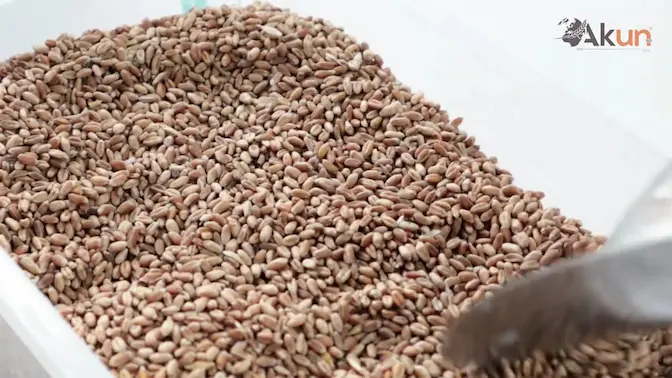 Akun Tanıtım Videosu Kapak